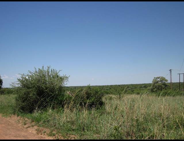 0 BEDROOM HOUSE FOR SALE IN DINOKENG GAME RESERVE